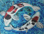 Two Koi