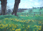 Field